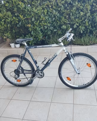 bicicletta uomo