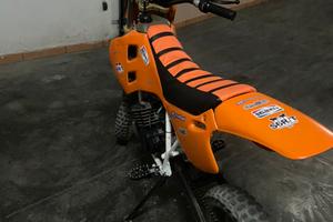 Motocross grizzly