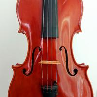 VIOLA DI LIUTERIA 1956