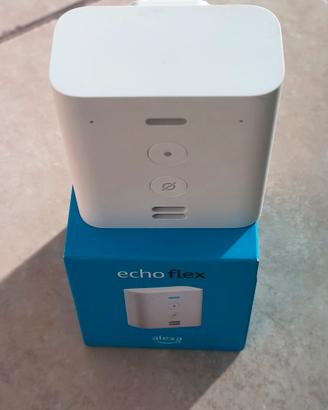 Alexa Echo Flex