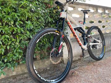 SPECIALIZED MTB  ENDURO Telaio Carbon RUOTE 29
