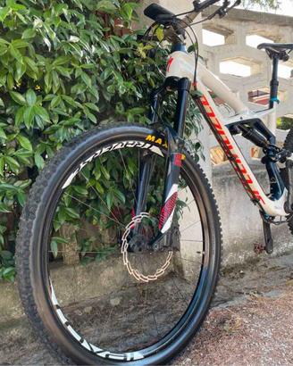 SPECIALIZED MTB  ENDURO Telaio Carbon RUOTE 29