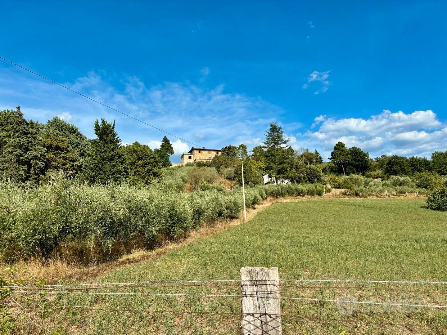 Terreno agricolo di 20.000 mq - Vista 3