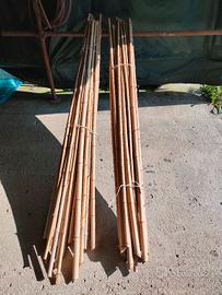 Canne di bambù 