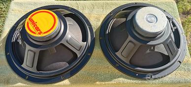 Coppia Woofer Unicars