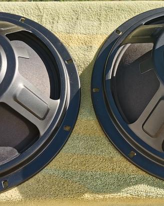 Coppia Woofer Unicars