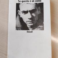 Se questo è un uomo 