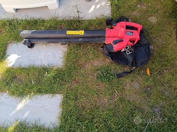 soffiatore e aspiratore foglie