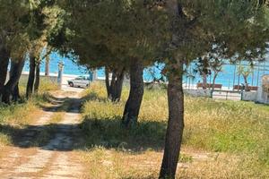 Torre Canne, Savelletri, Fasano centro storico