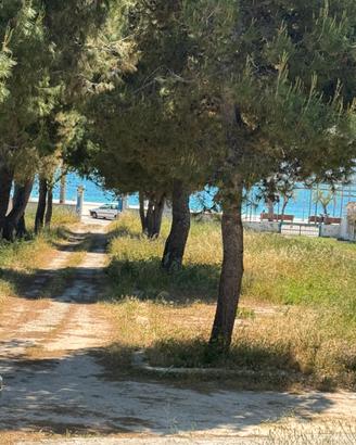Torre Canne, Savelletri, Fasano centro storico