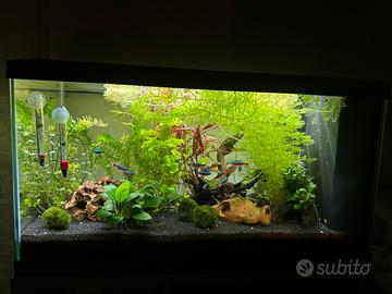 Accessori per acquario