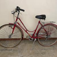 Bicicletta per signora Aurora