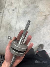 Albero carenzi minarelli verticale