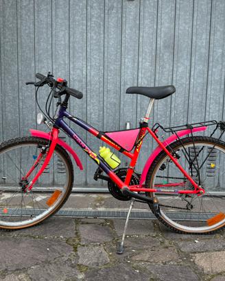 Mountain bike