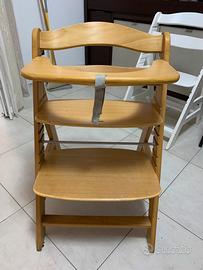 Sedia evolutiva