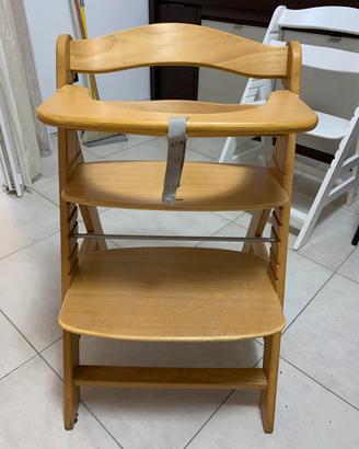Sedia evolutiva