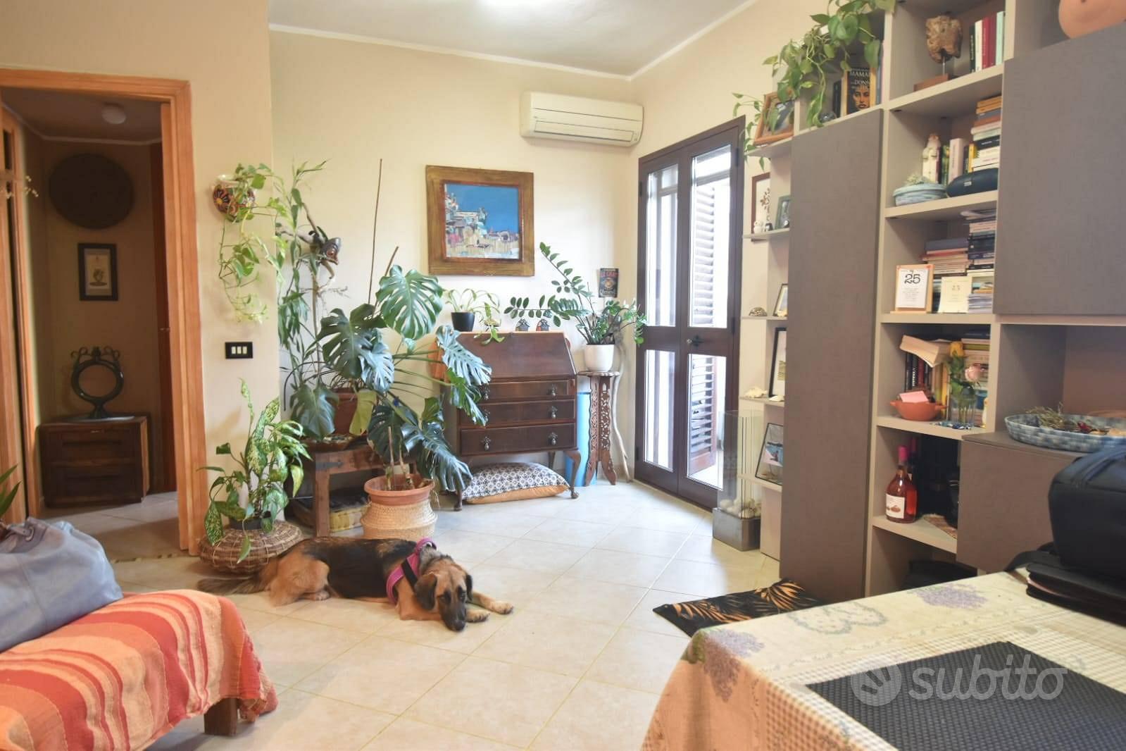 Appartamento – Monserrato, Casteddu/Cagliari - Vista 4