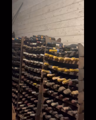 Bottiglie e fiaschi di vino vario