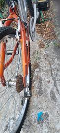 Bicicletta