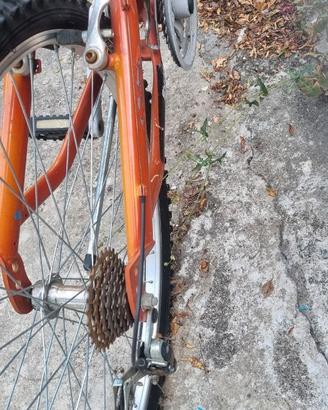 Bicicletta