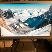 Coppia monitor apple cinemadisplay 20 pollici