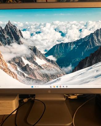 Coppia monitor apple cinemadisplay 20 pollici