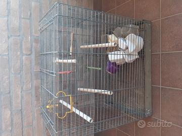 Gabbia 