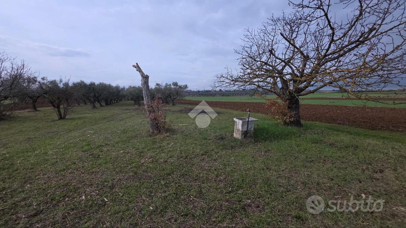 TERRENO A SPOLTORE - Vista 3
