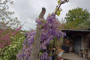 Casolare campagna Mirabello