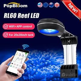 Popbloom rl60