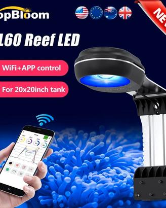 Popbloom rl60