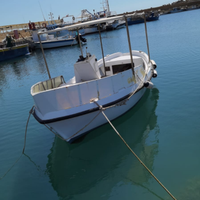 Vende gozzo in