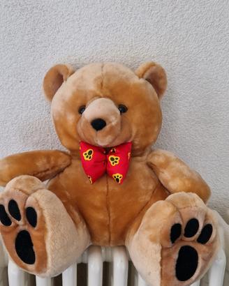 peluche orso