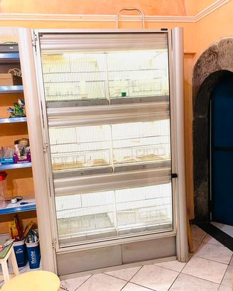 espositore negozio uccelli