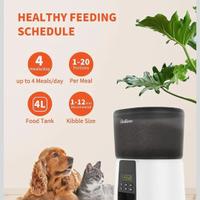 Distributore di cibo per cani e gatti