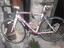 Immagine 2