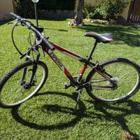 bicicletta Mountain bike