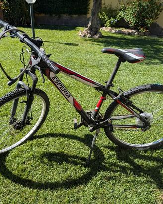 bicicletta Mountain bike