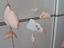 Immagine 2