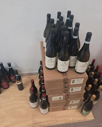 Vino cantine siciliane