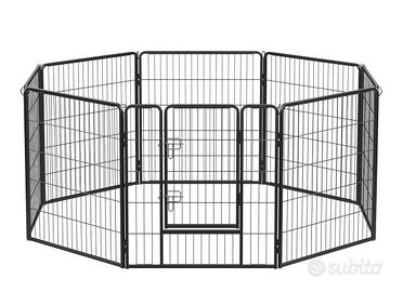 Kennel recinto