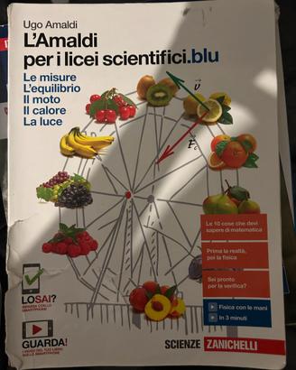 L'Amaldi per i licei scientifici.blu - Zanichelli
