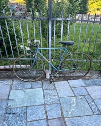 Bici da corsa Classica Olmo - Capagnolo