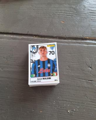 carte panini 2025/26