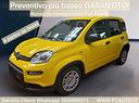 fiat-panda-1-0-hybrid-70cv-nuova-da-immatricolar
