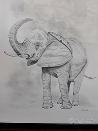 Elefante disegno a matita