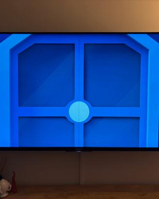 Tv Sony 55”
