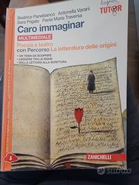 caro immaginar poesia e teatro
