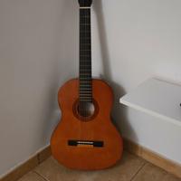 Chitarra Eko