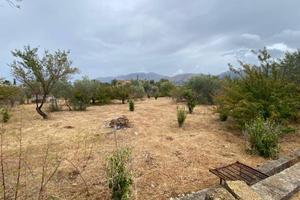 Terreno di 6500 m² a Carini